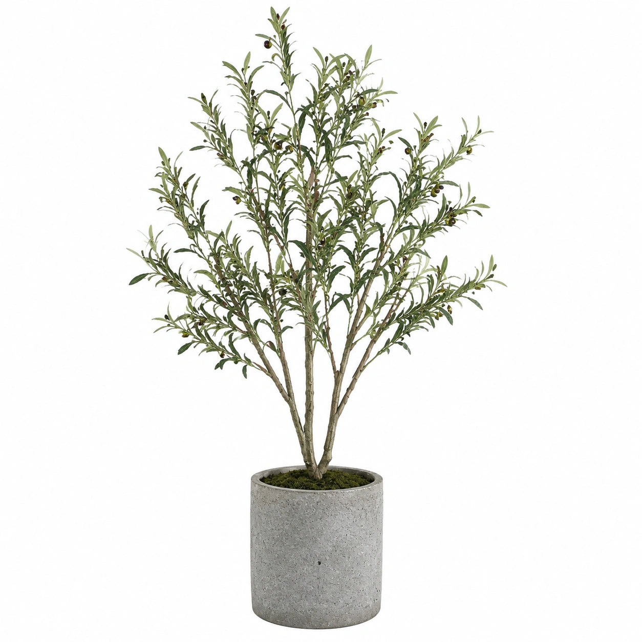 Olivier artificiel 180 cm vert avec pot en ciment pour décoration intérieure réaliste
