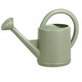 Arrosoir 5 L en acier vert sauge pour jardin avec pomme d'arrosage