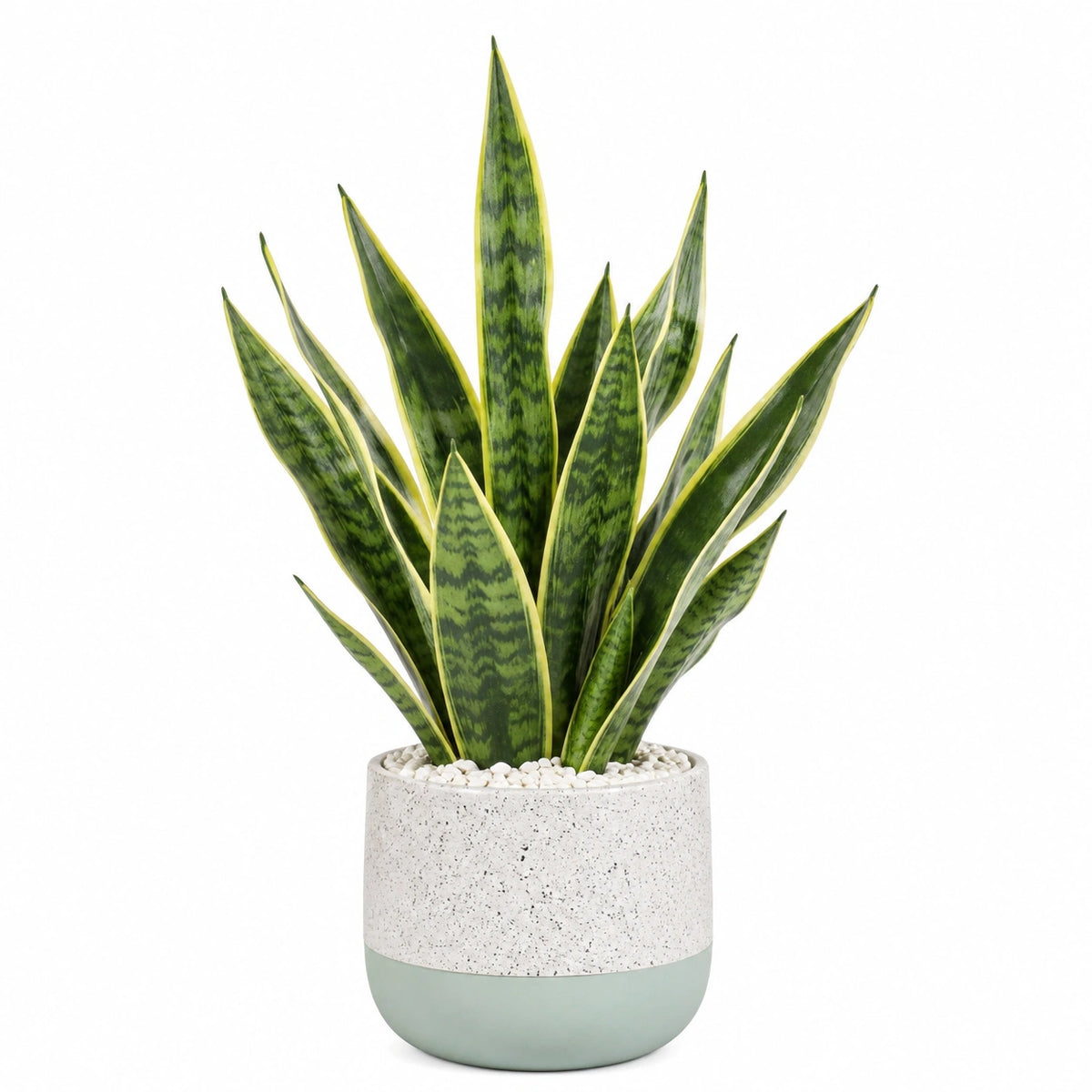 Plante verte artificielle sansevière 70 cm en plastique vert avec pot décoratif