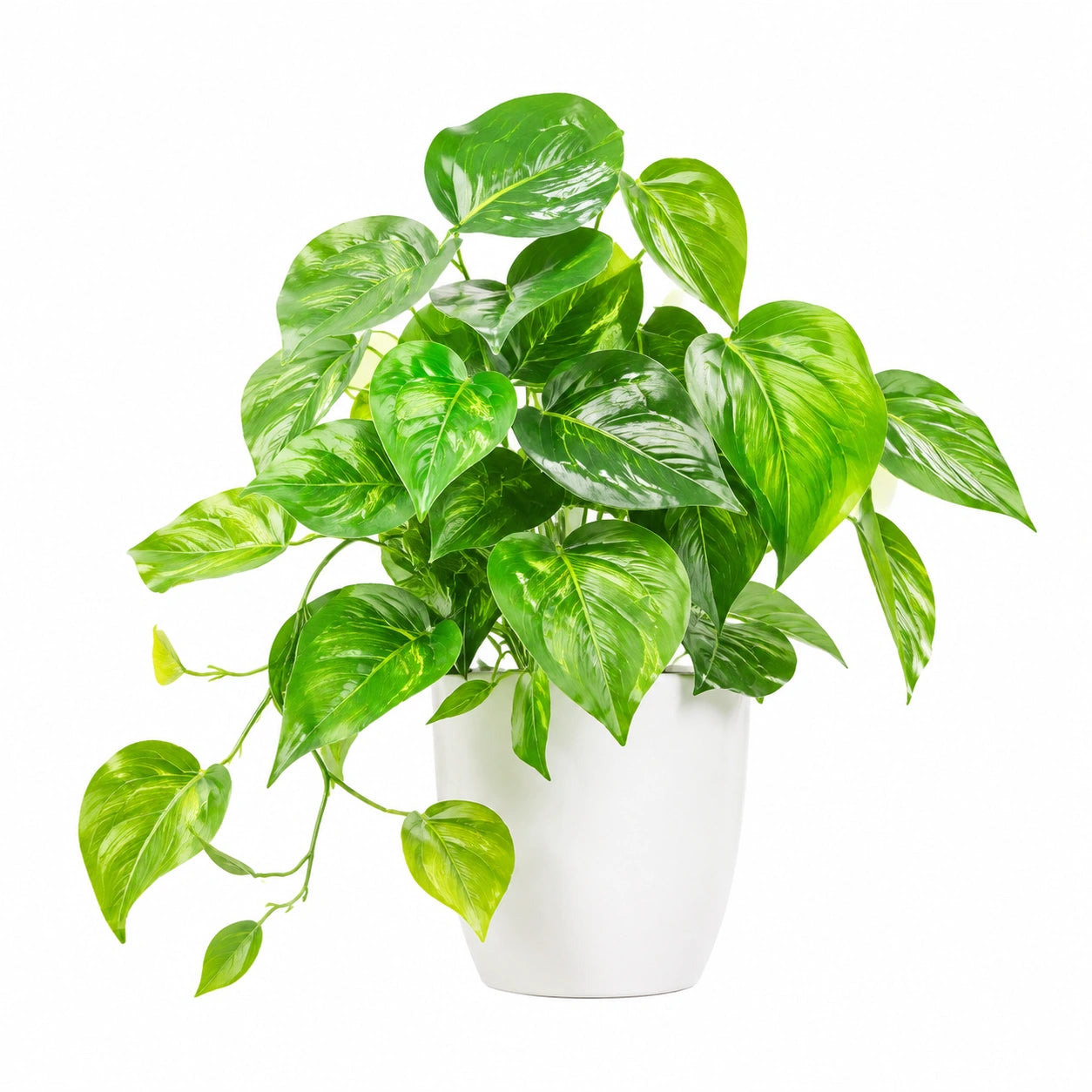 Plante verte artificielle 75 cm en plastique vert et blanc décorative en pot