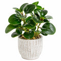Plante verte artificielle 45 cm en plastique vert avec pot en céramique décoratif