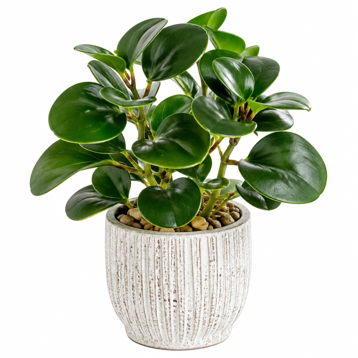 Plante verte artificielle 45 cm en plastique vert avec pot en céramique décoratif